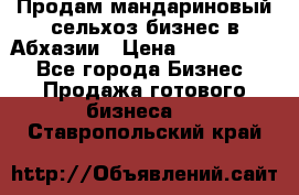Продам мандариновый сельхоз-бизнес в Абхазии › Цена ­ 1 000 000 - Все города Бизнес » Продажа готового бизнеса   . Ставропольский край